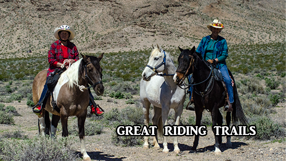 ridinghorses